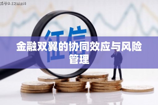 观音金融双翼的协同效应与风险管理