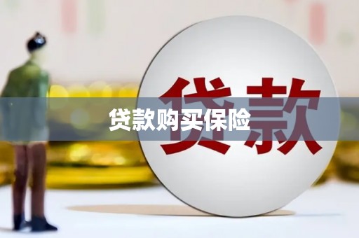 观音贷款购买保险