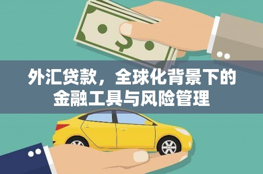 观音外汇贷款，全球化背景下的金融工具与风险管理