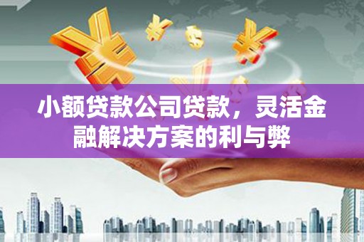 观音小额贷款公司贷款，灵活金融解决方案的利与弊