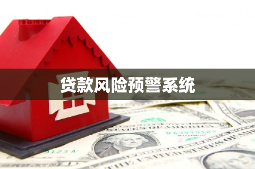 观音贷款风险预警系统